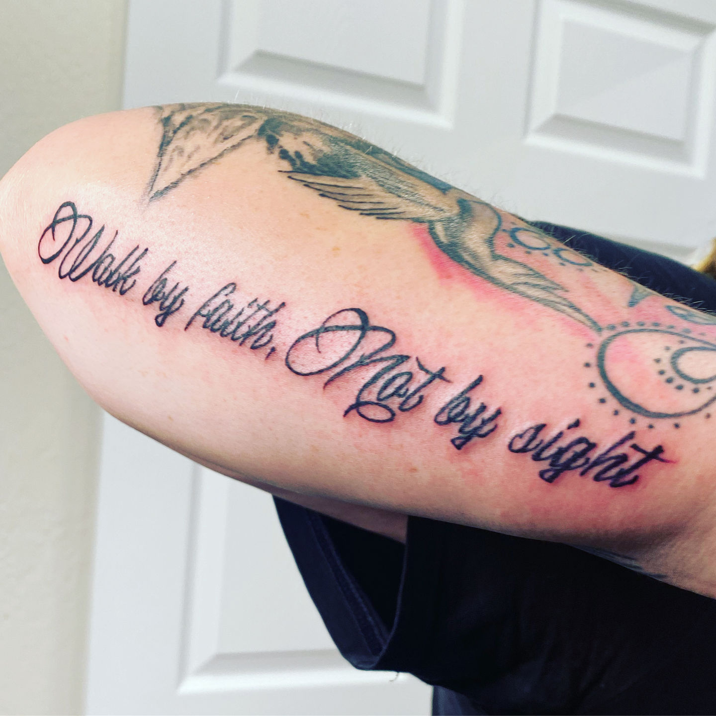 719afa0b-c3ba-4d6a-93ca-87a7a0a2af81