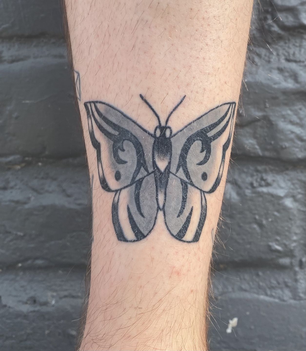 22b5cee1-5712-4691-8b8f-9f07bfb9dd55