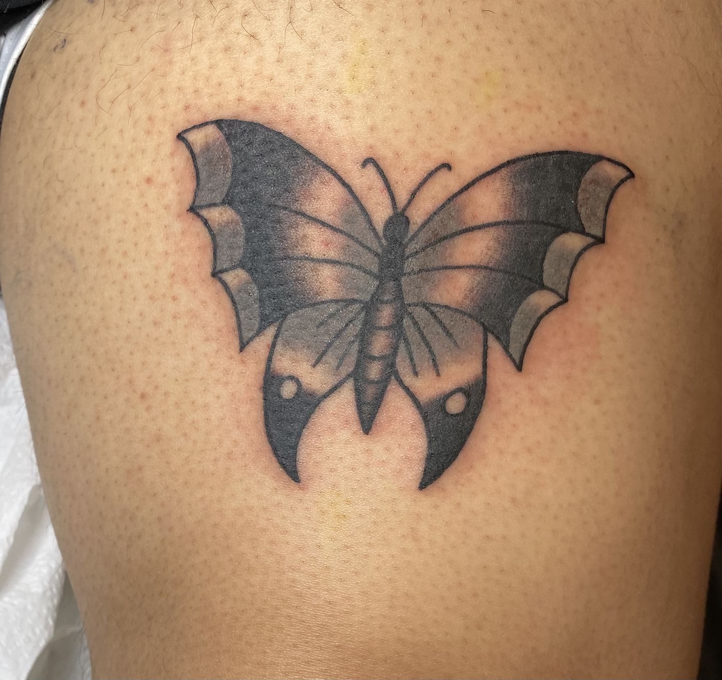 19a95f74-3a25-47da-8c60-688cb74858e7