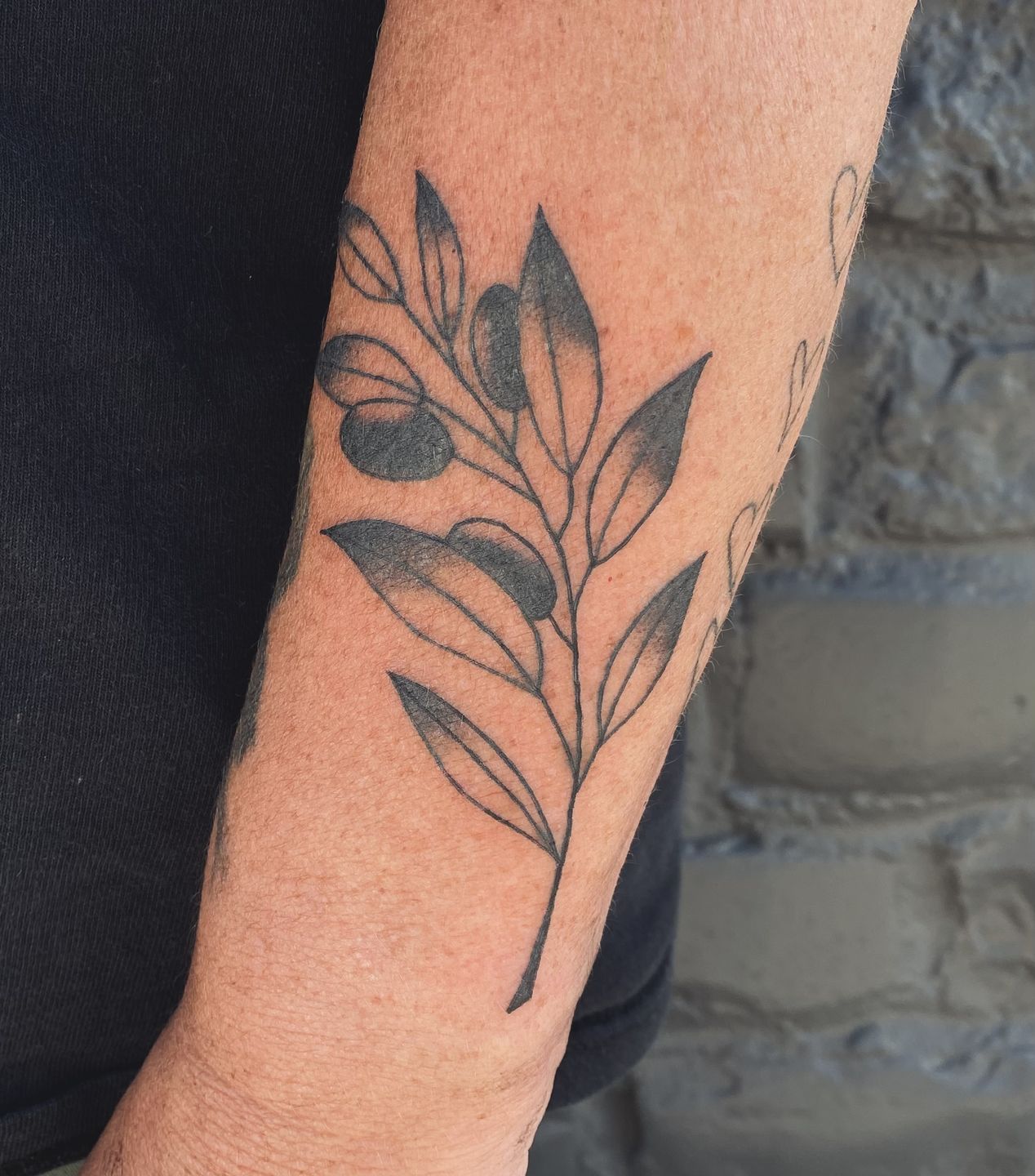 0fc09a49-ff44-486a-9403-1d857ea65782