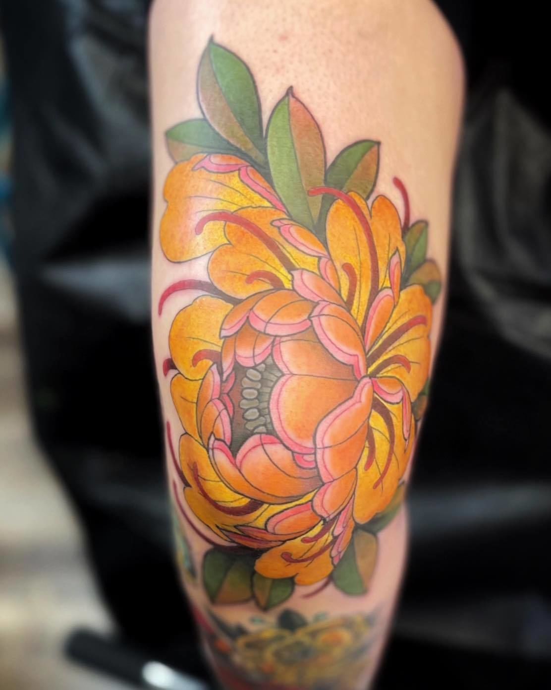 344332542_555806566736569_2316791625258867975_n