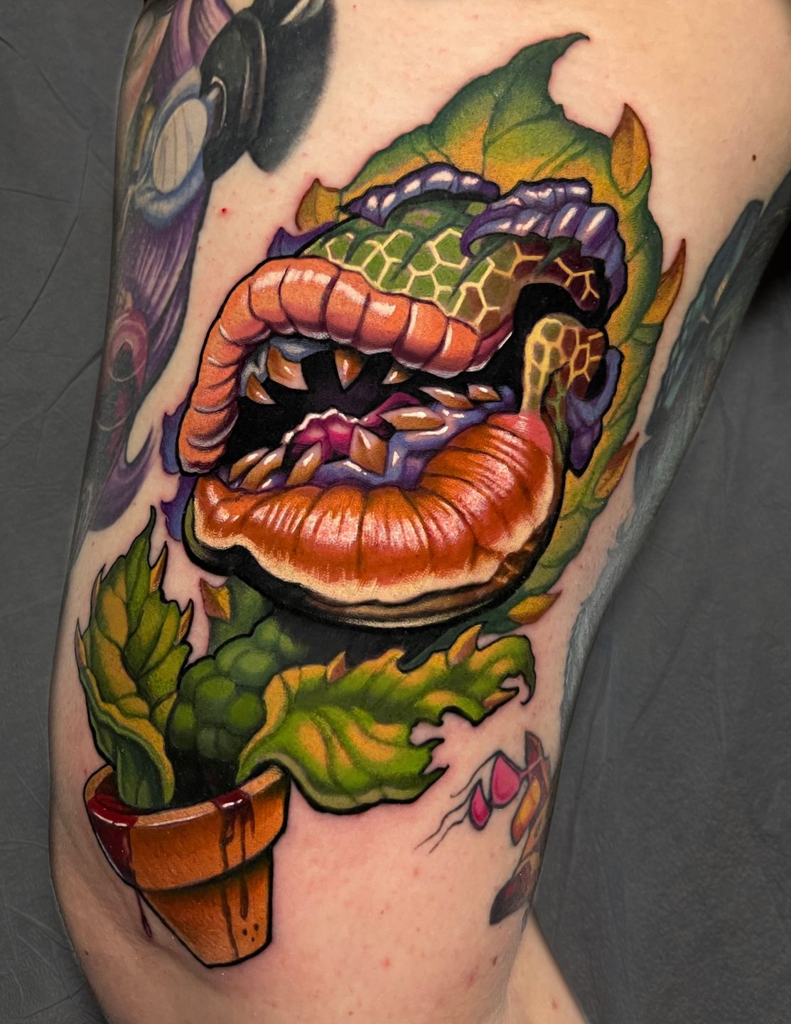 28aefecd-be42-428b-883c-f24291b6157f