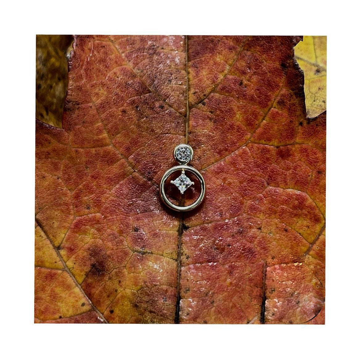 885b9fa0-5ffa-4505-a958-120ea795580d