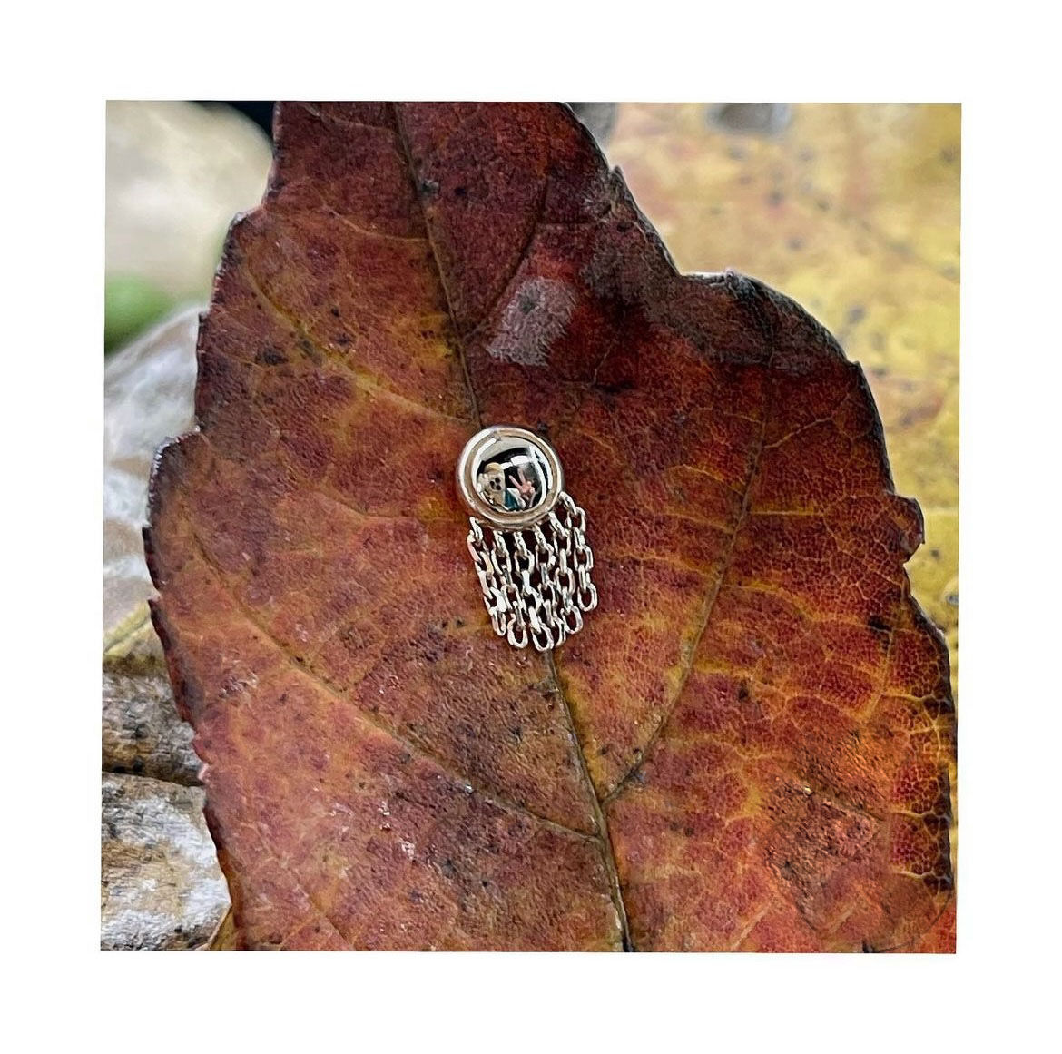 D4470204-f4ad-4eff-a8cc-8c3c1670d20f