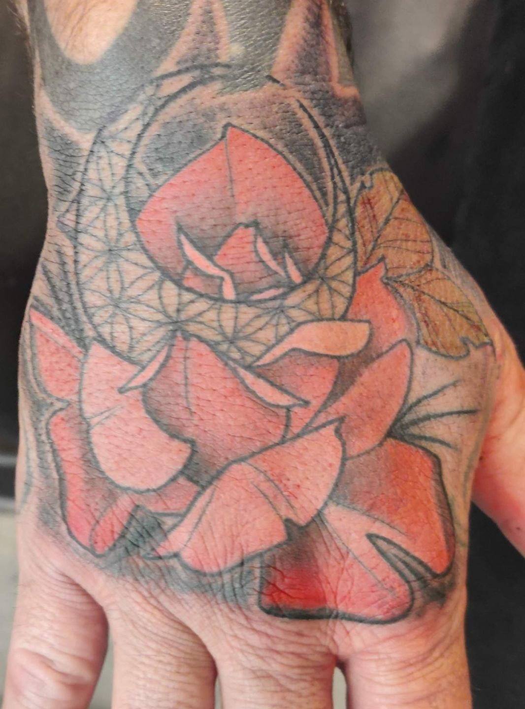 Screenshot_20230914-133029__01