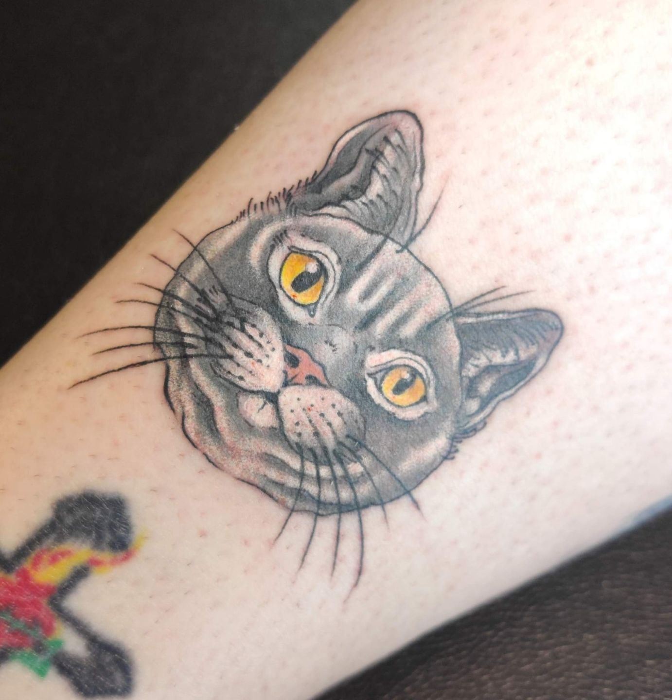 Screenshot_20230914-133047__01