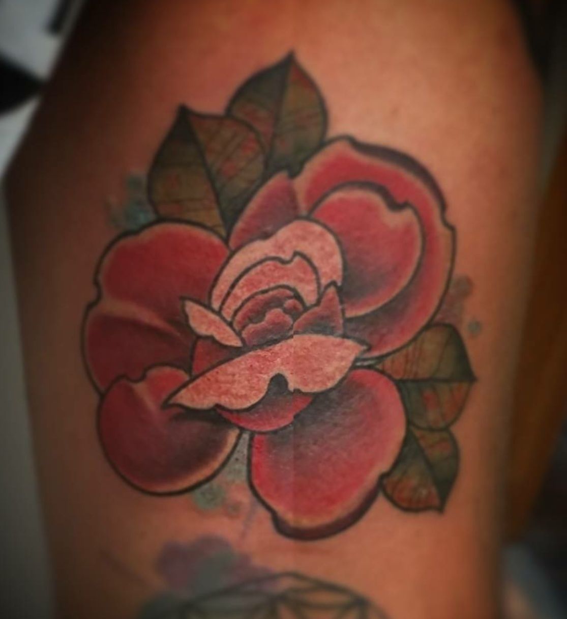 Screenshot_20230917-234637__01