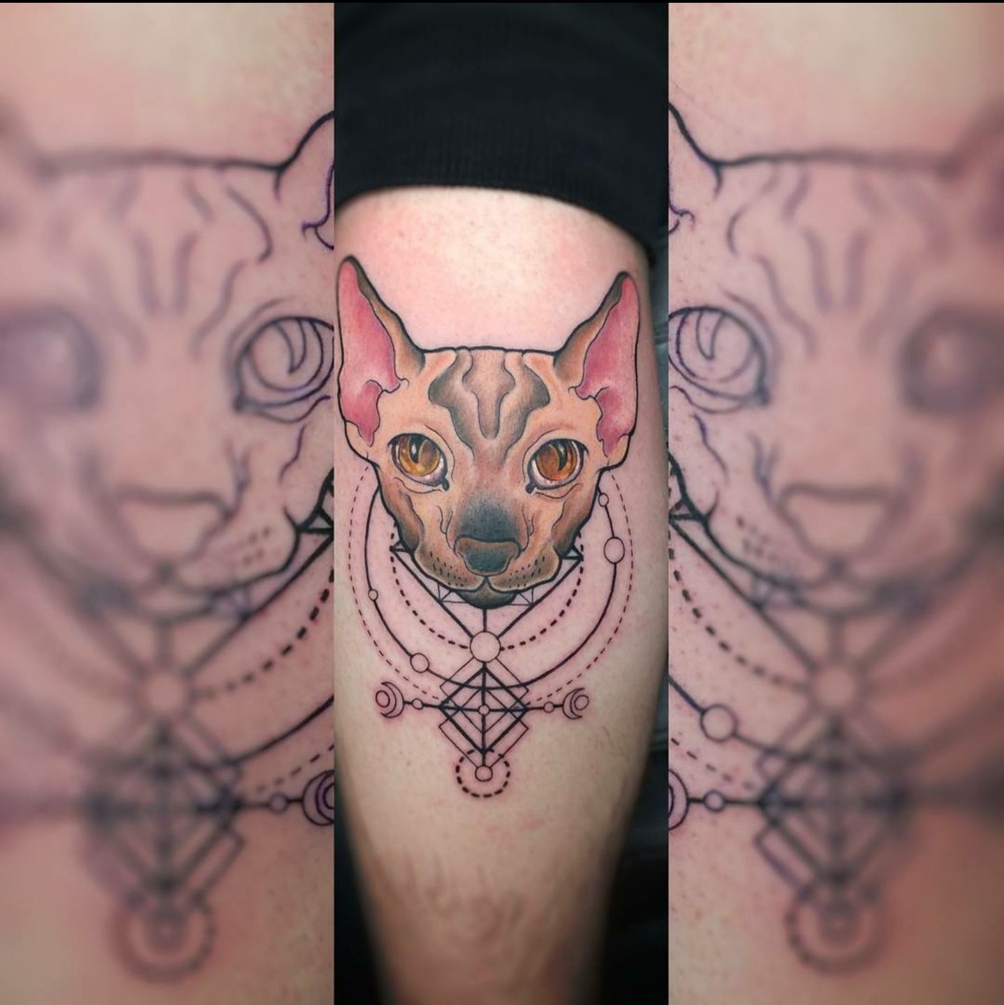 Screenshot_20230917-234717__01