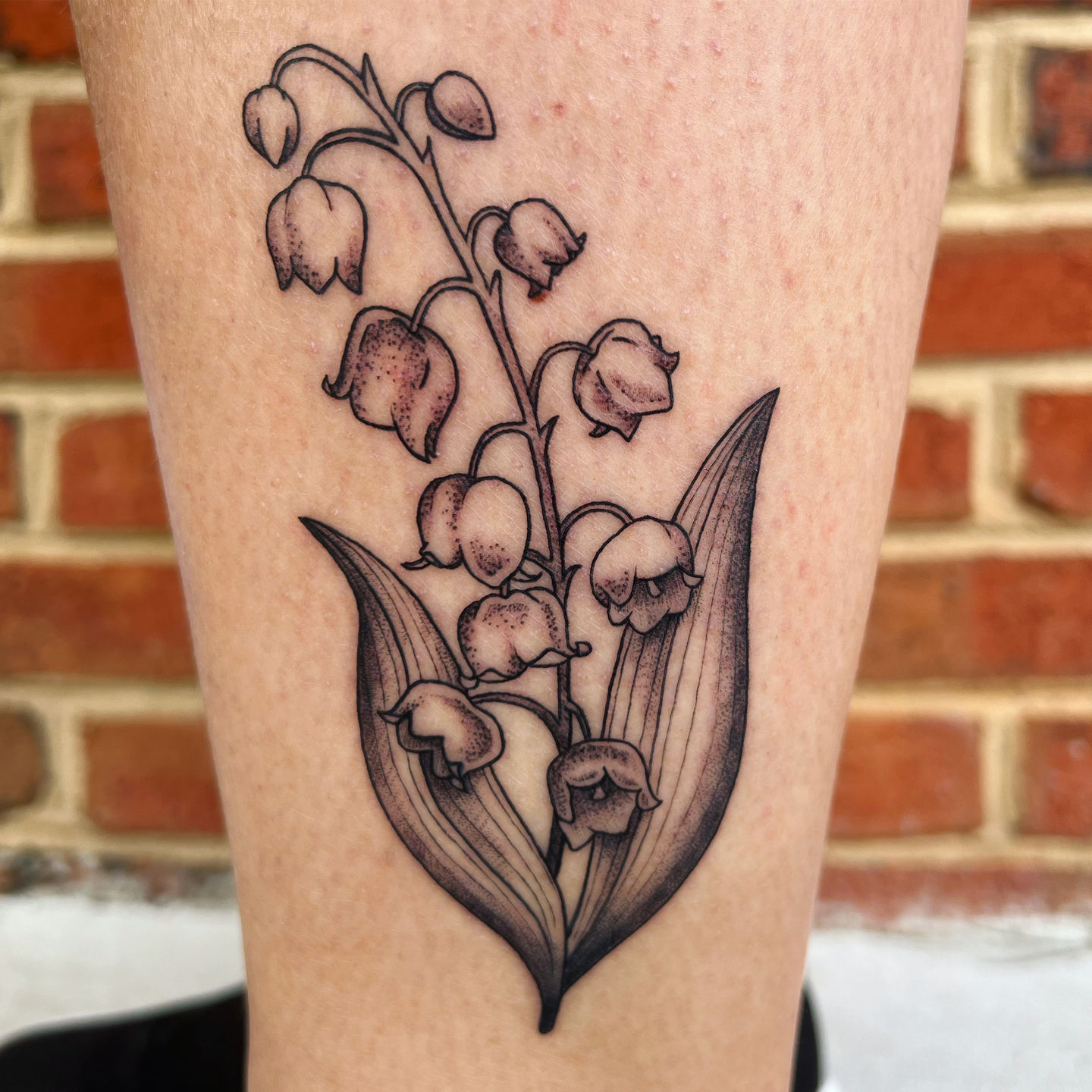 Fc93f378-7ea2-46b8-bc26-452f614fbb2c