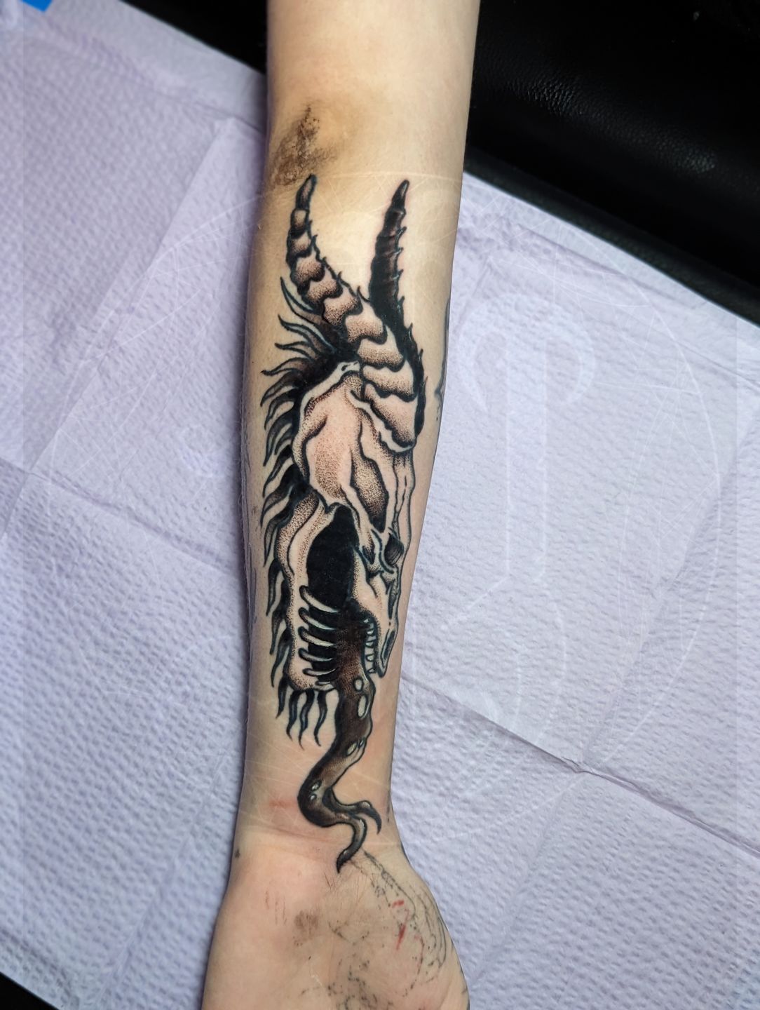 Pxl_20230704_022958635.portrait_original