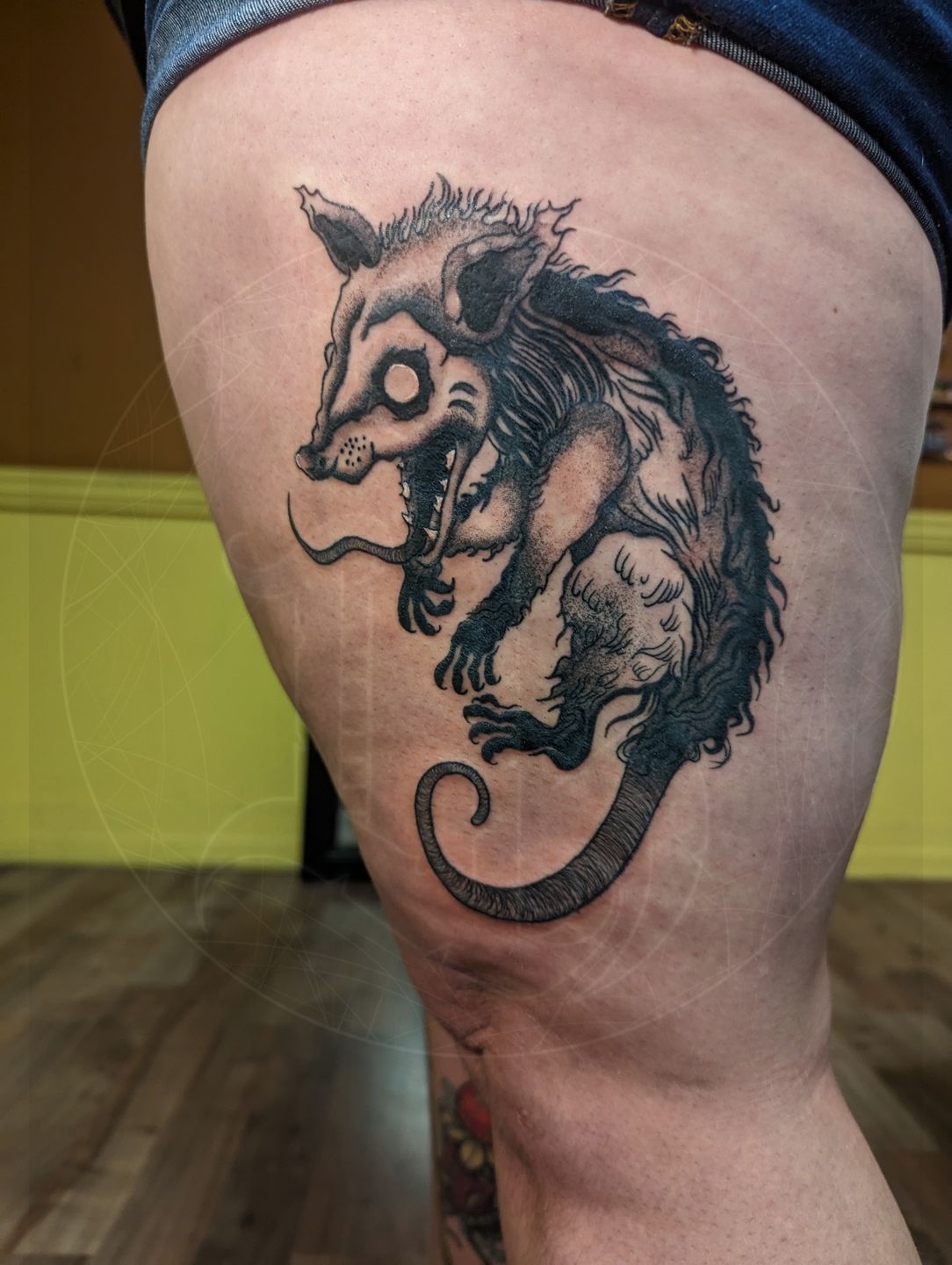 Pxl_20230423_001856773_original