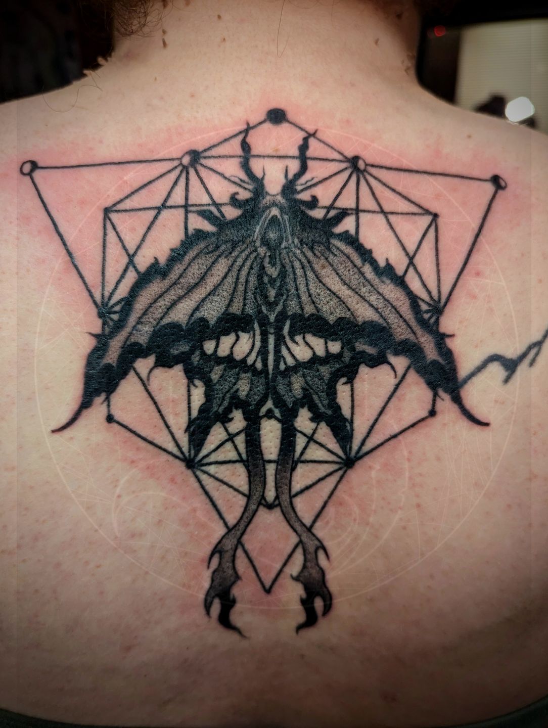 Pxl_20230501_235048169_2_original