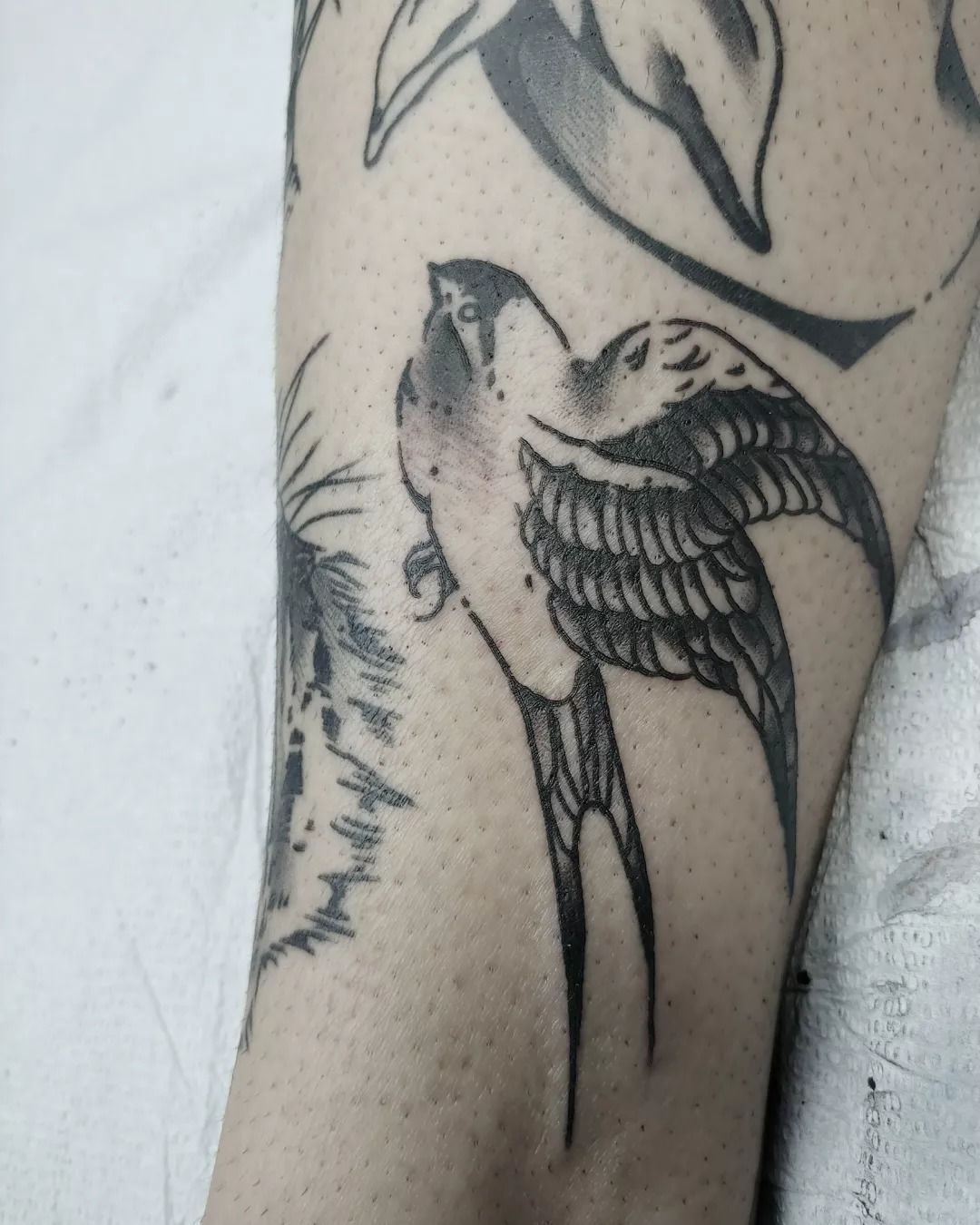 Img_20220111_152246_706