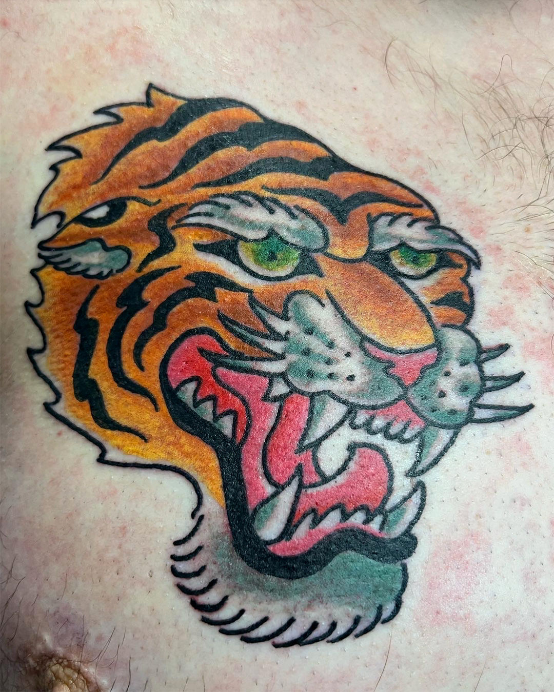 Tiger