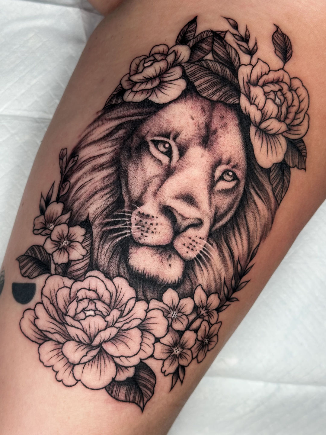 Ce59041f-8e9a-4e0f-a055-e92d3a0da3f4