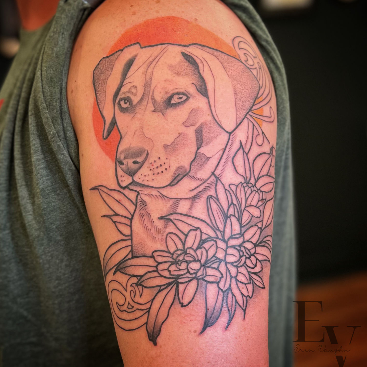 1d588282-bd42-4c10-b48f-9a912de59e56