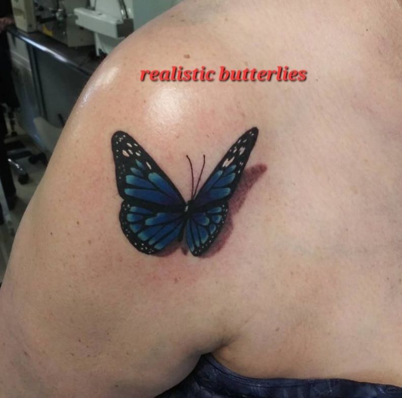 Screenshot_20231124_013508_instagram