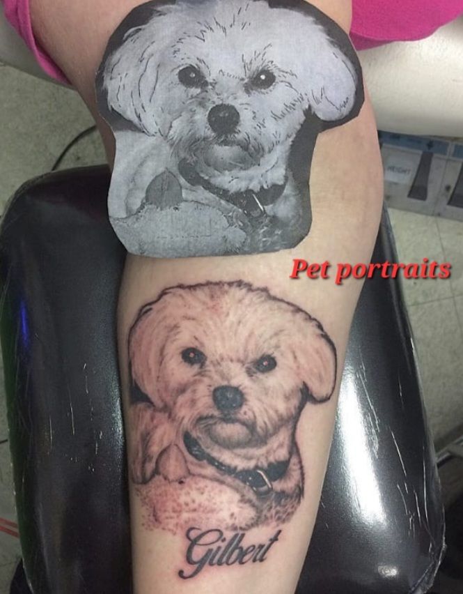 Screenshot_20231124_013440_instagram