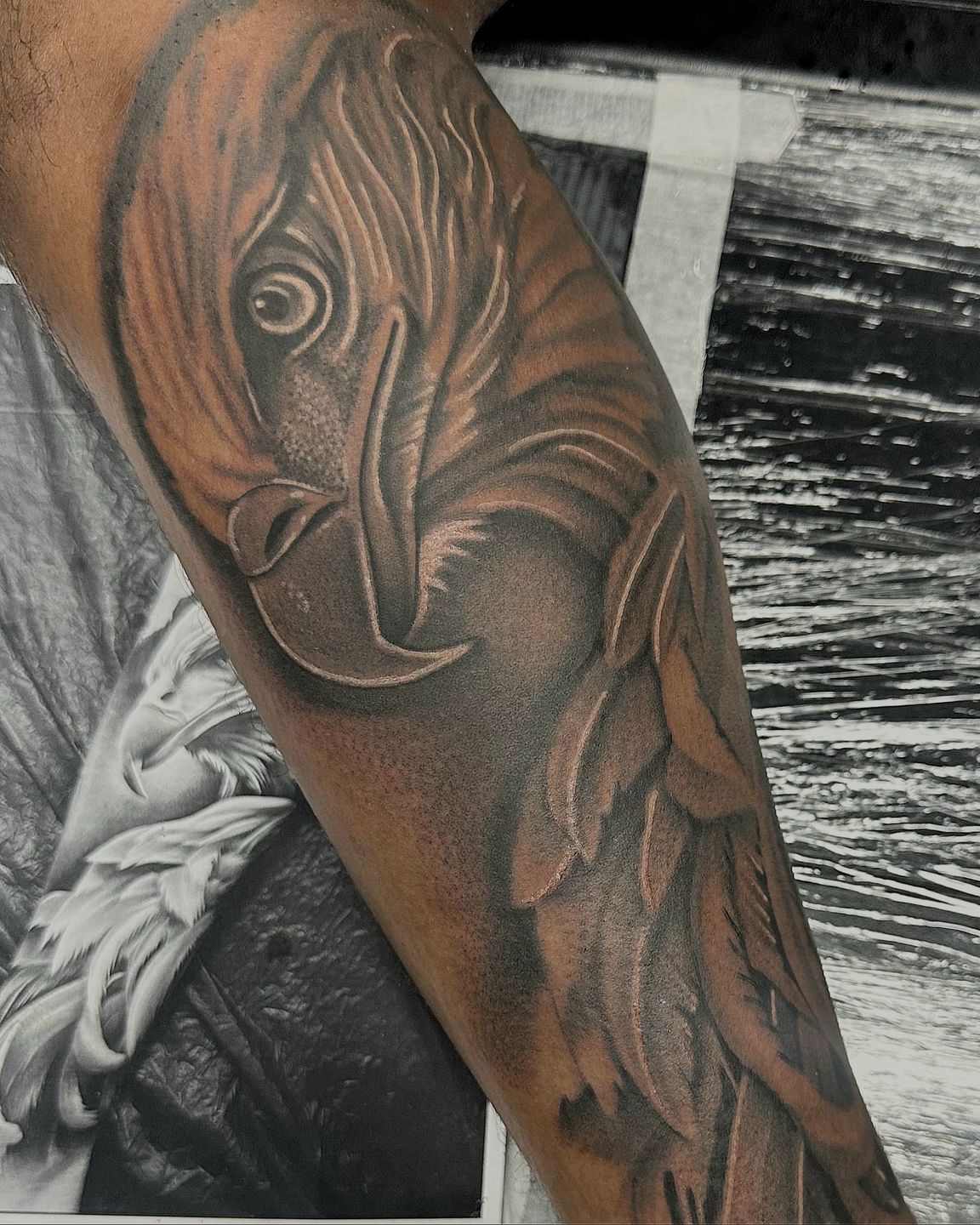 Img_20230922_203641_857