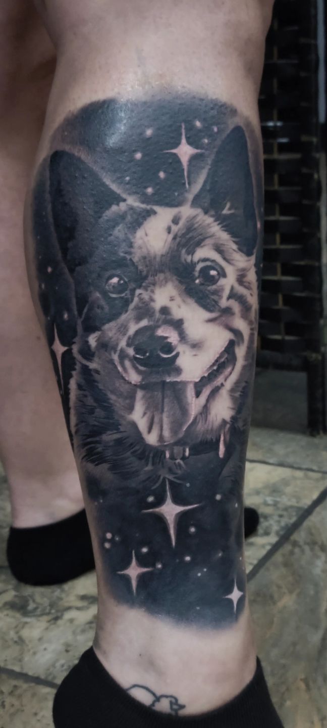 Screenshot_20231205_175323_gallery