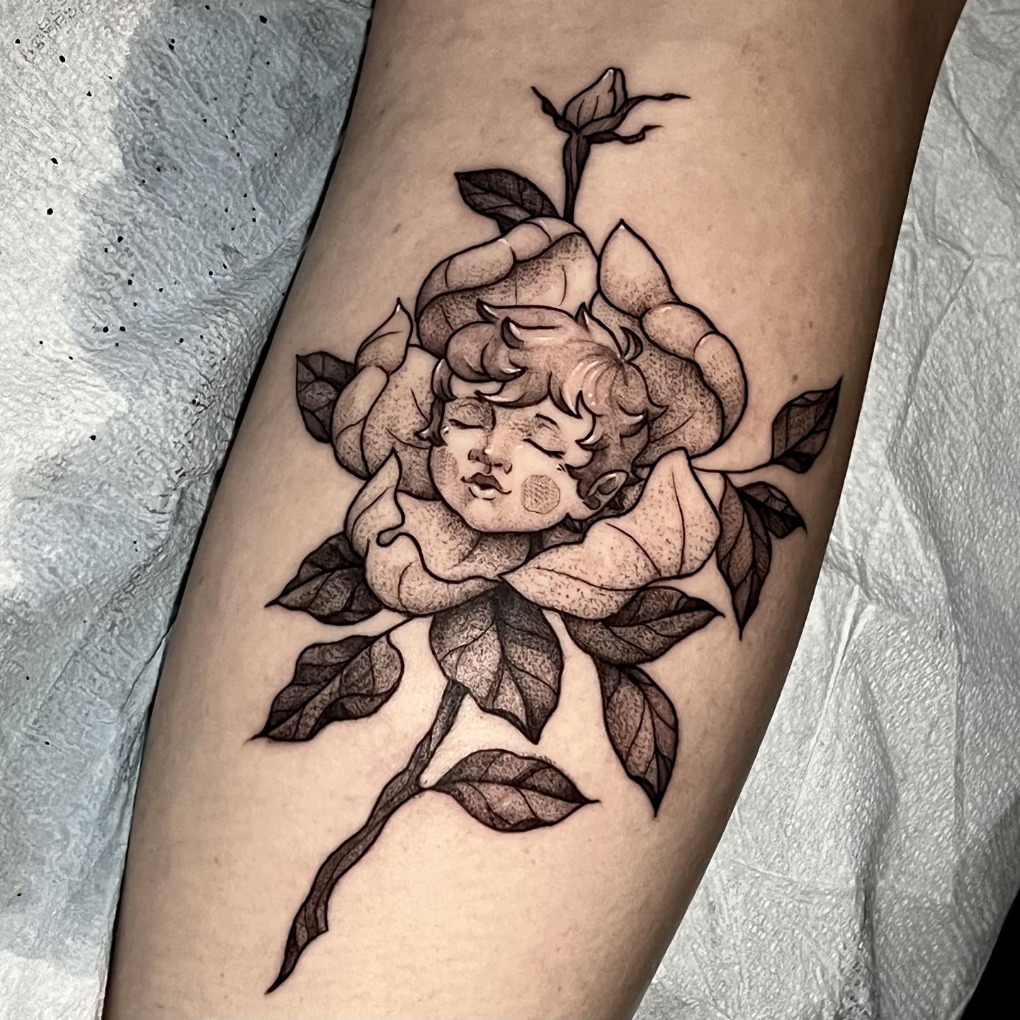 Dfb44312-5f50-4699-9c31-31559ea08bdd