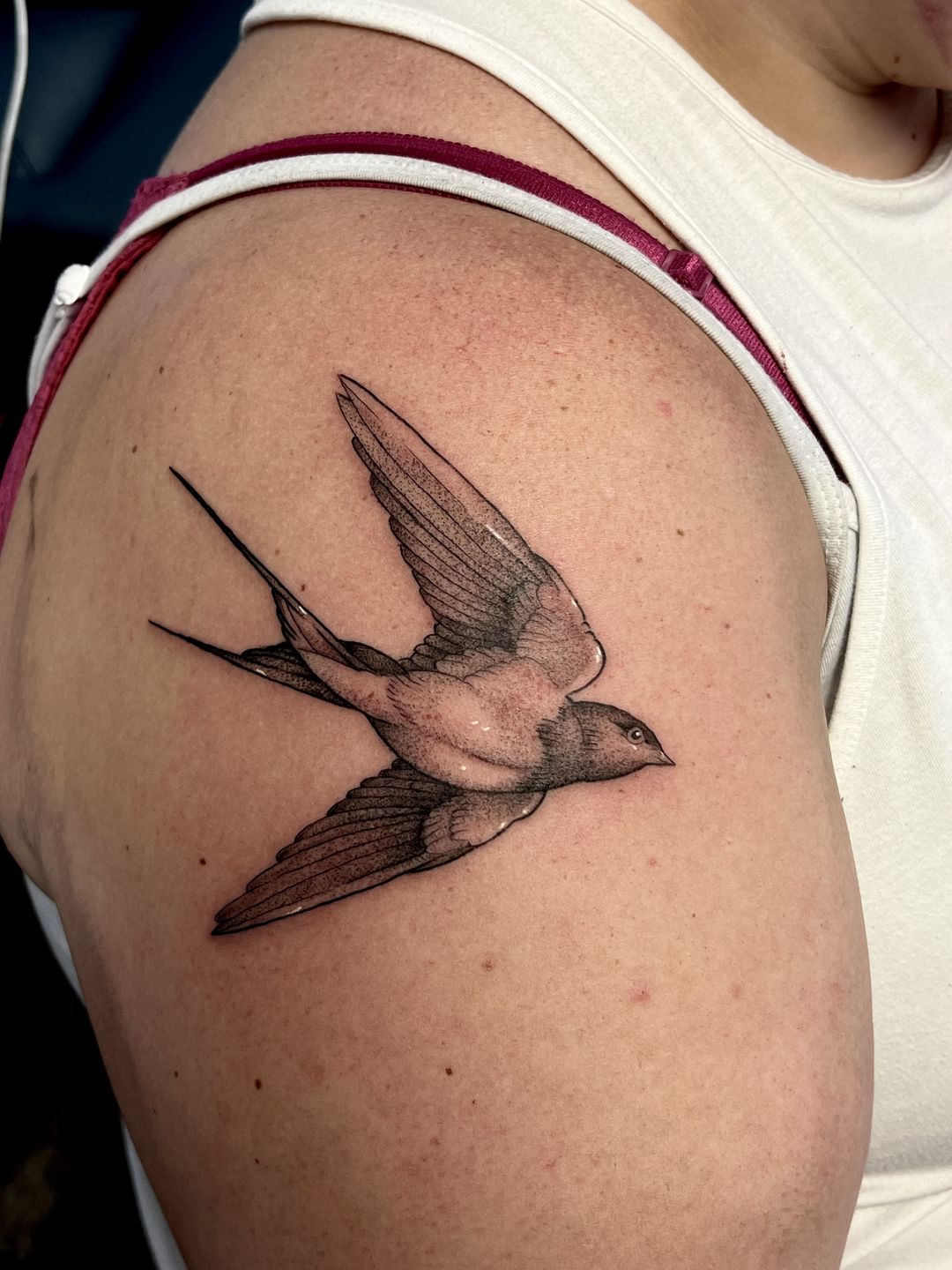 E66a06f9-2a66-4646-b76f-ed4693b8fdd6