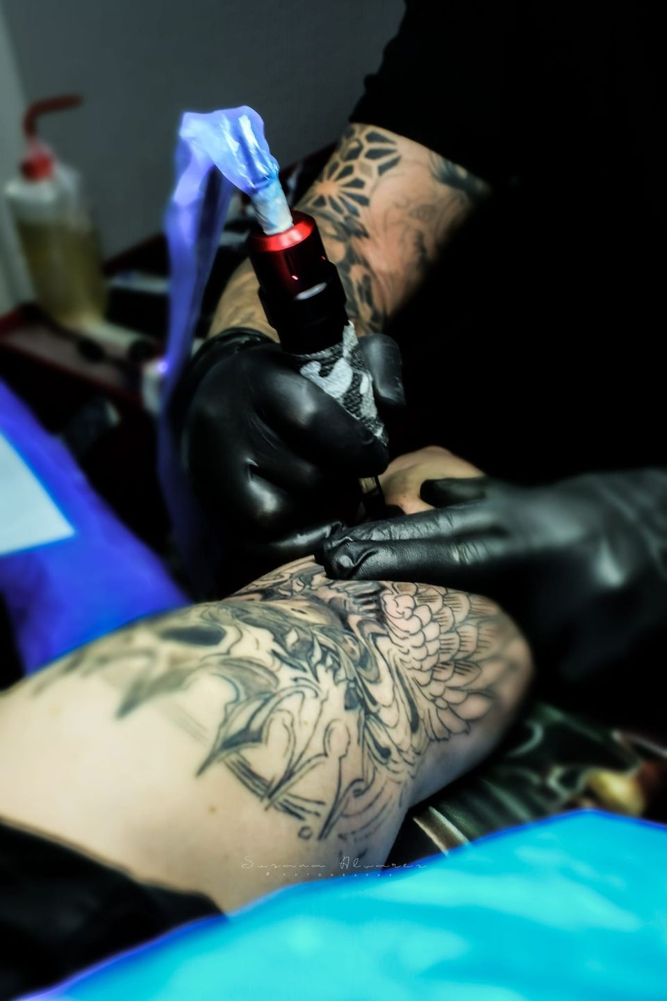 3391221e-75cd-4823-b7ff-ad9a48f3f145