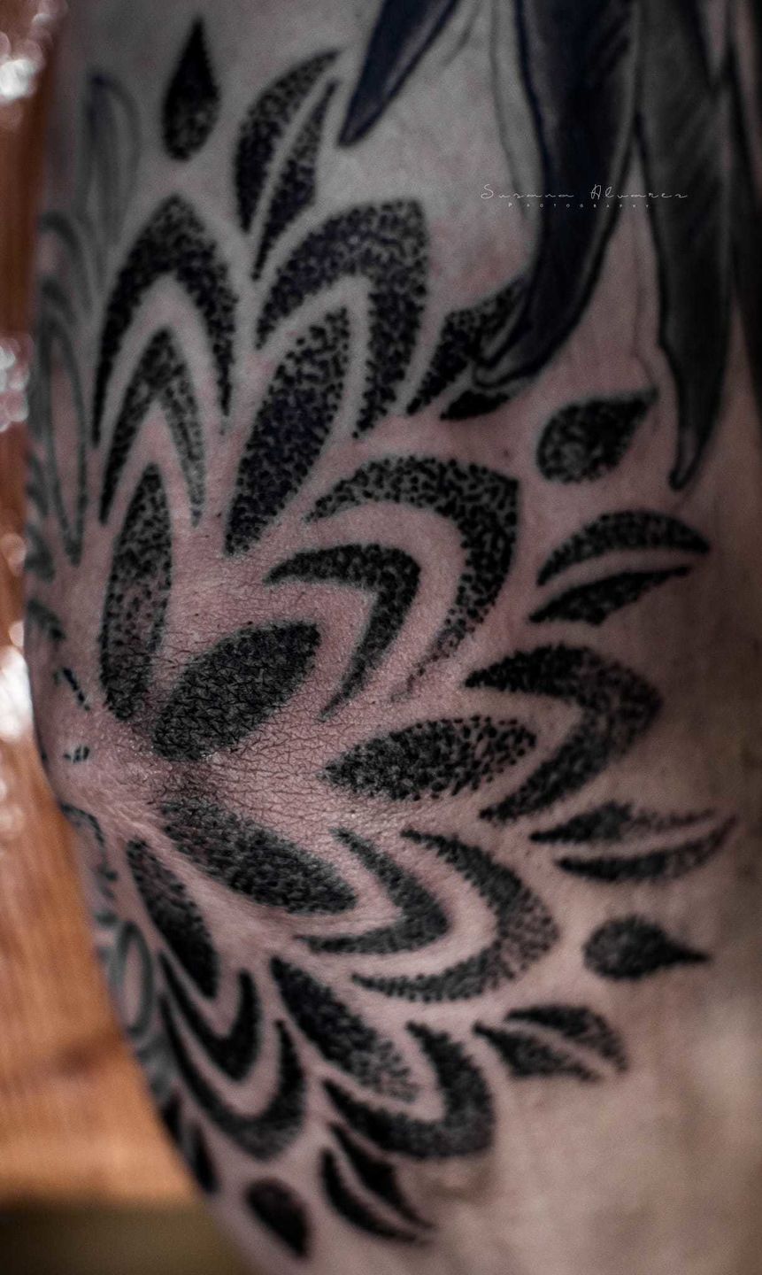 786b54fd-3802-4066-b9e3-49708dc2dede