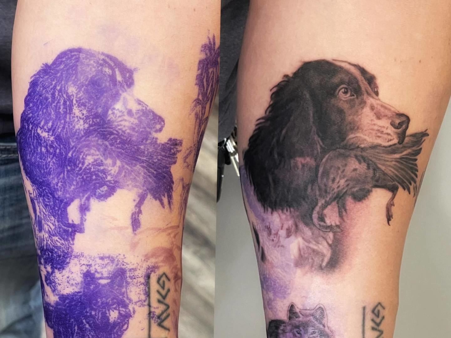 401006460_310215305129591_2666741124571908465_n