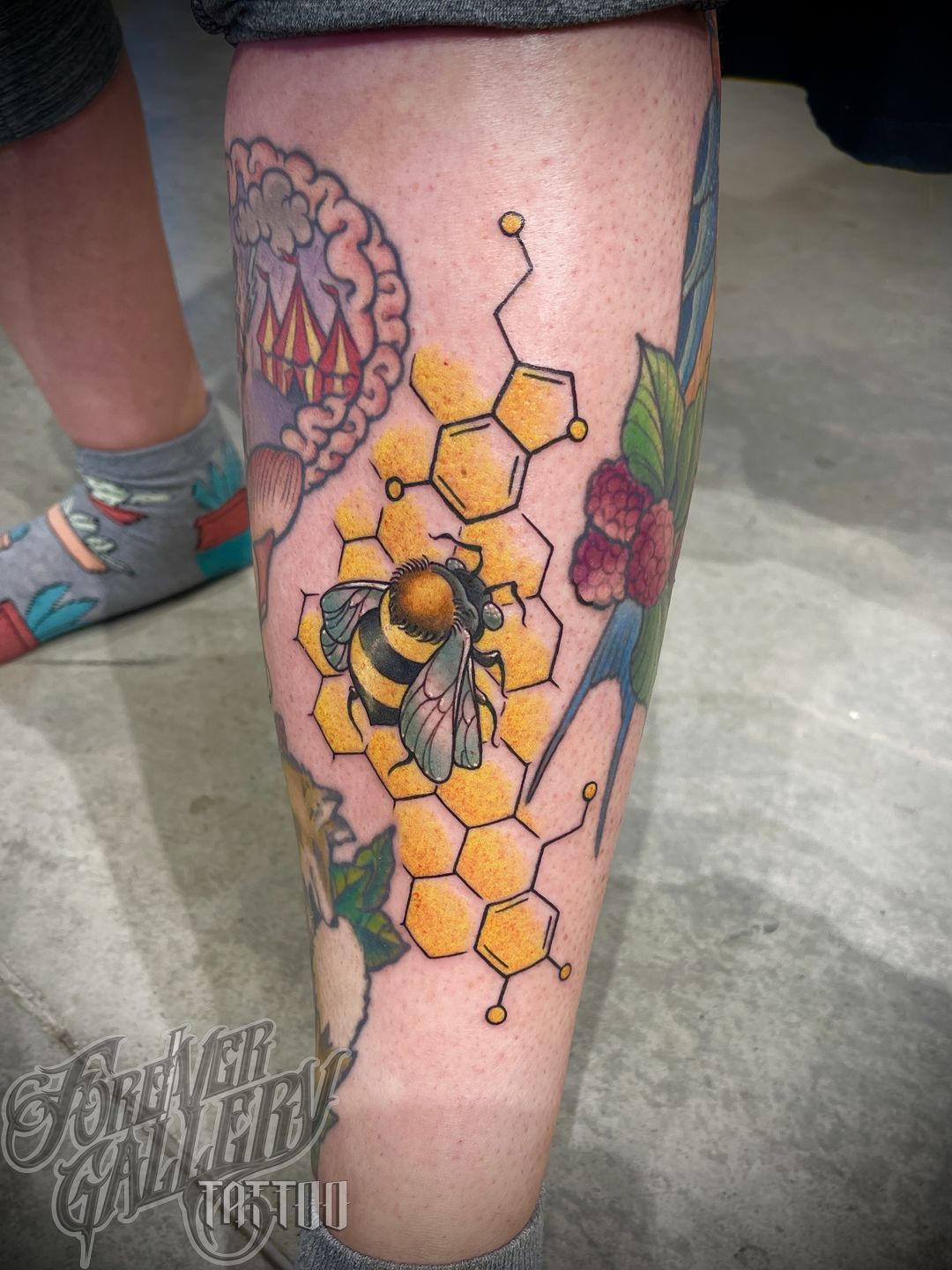 62c7a512-bf01-49b1-bd36-5281b2df6252