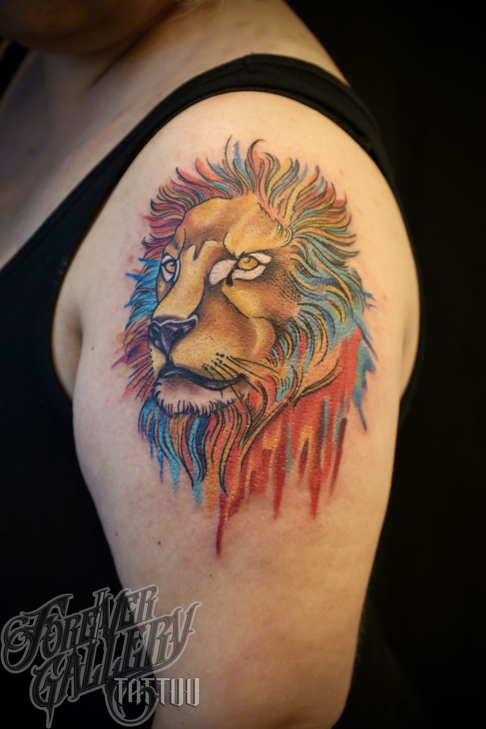 53289e99-c89e-418d-a311-fd650b7f3b6b