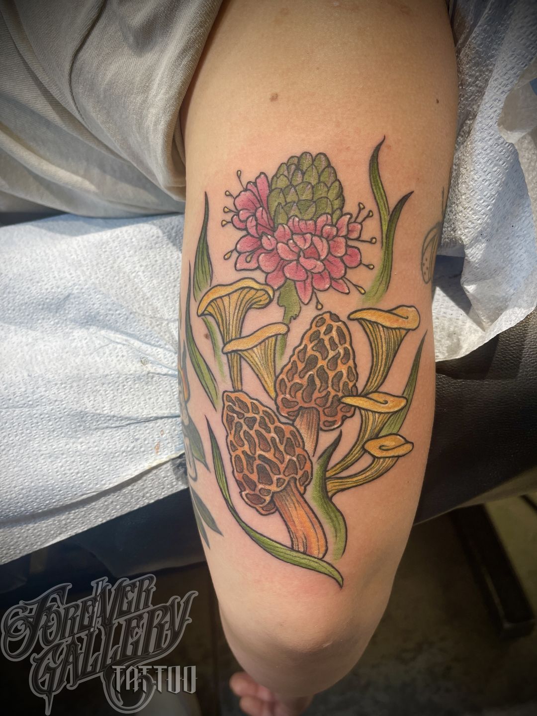 Fef94bd6-162a-42c0-9959-a5d1735224c4