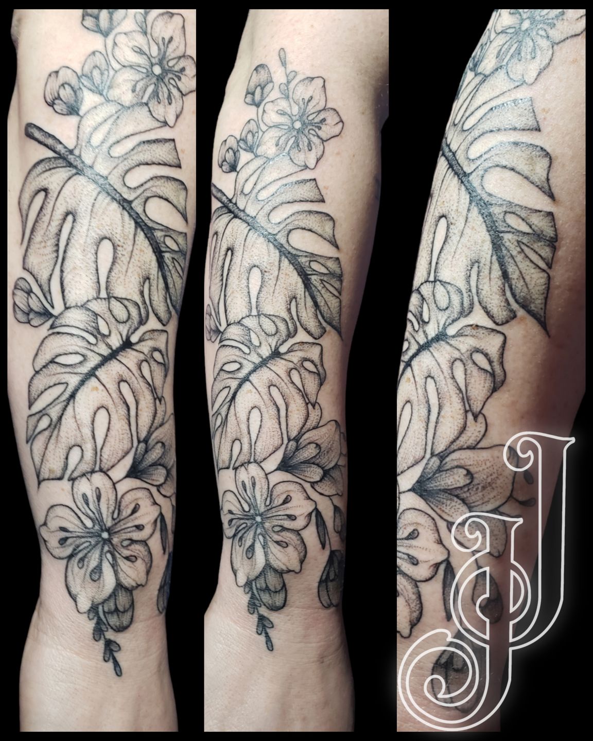 Gridart_20240220_173412205