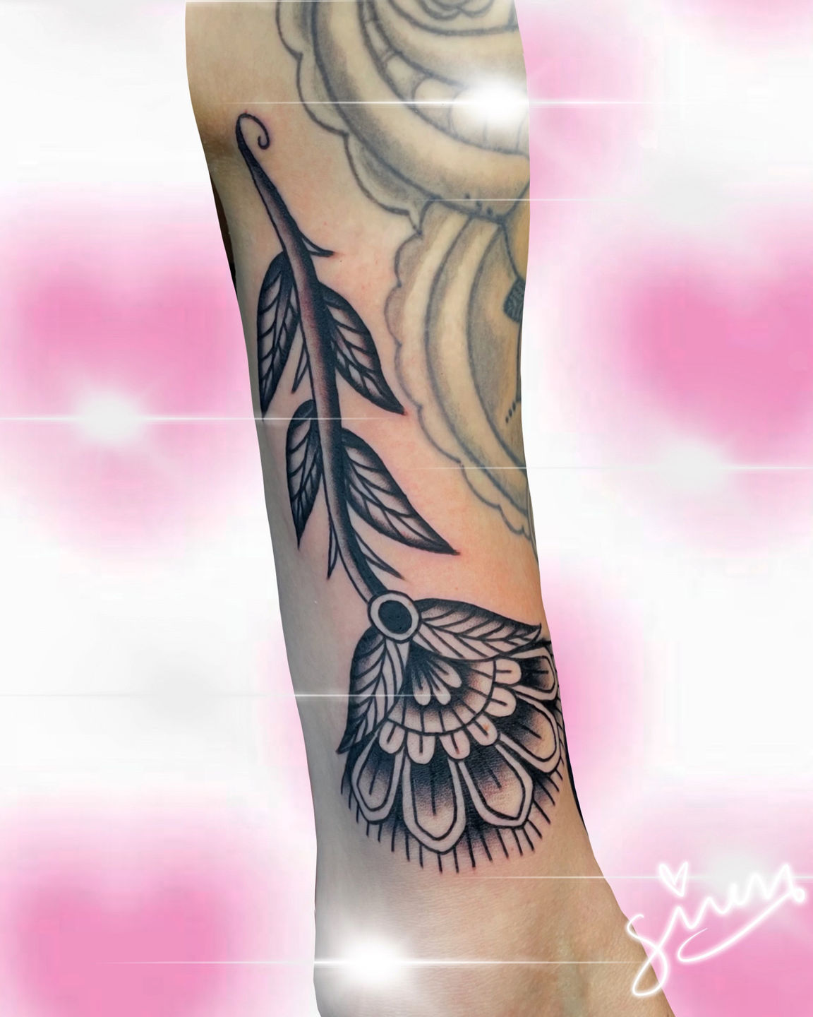 B272fab8-f978-4d9a-b727-e5e606e23bed