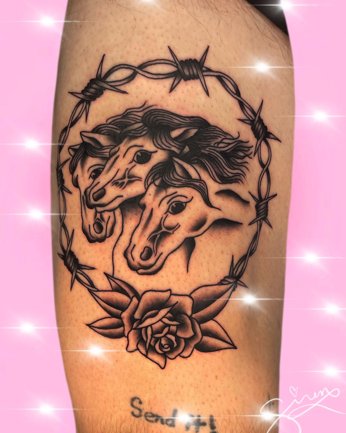 7af8fd55-f326-47f2-8874-8bdf8033e628