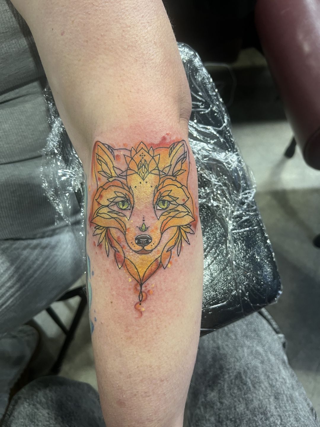 56bb9112-7276-4fbf-9051-7d9bb4469e3c