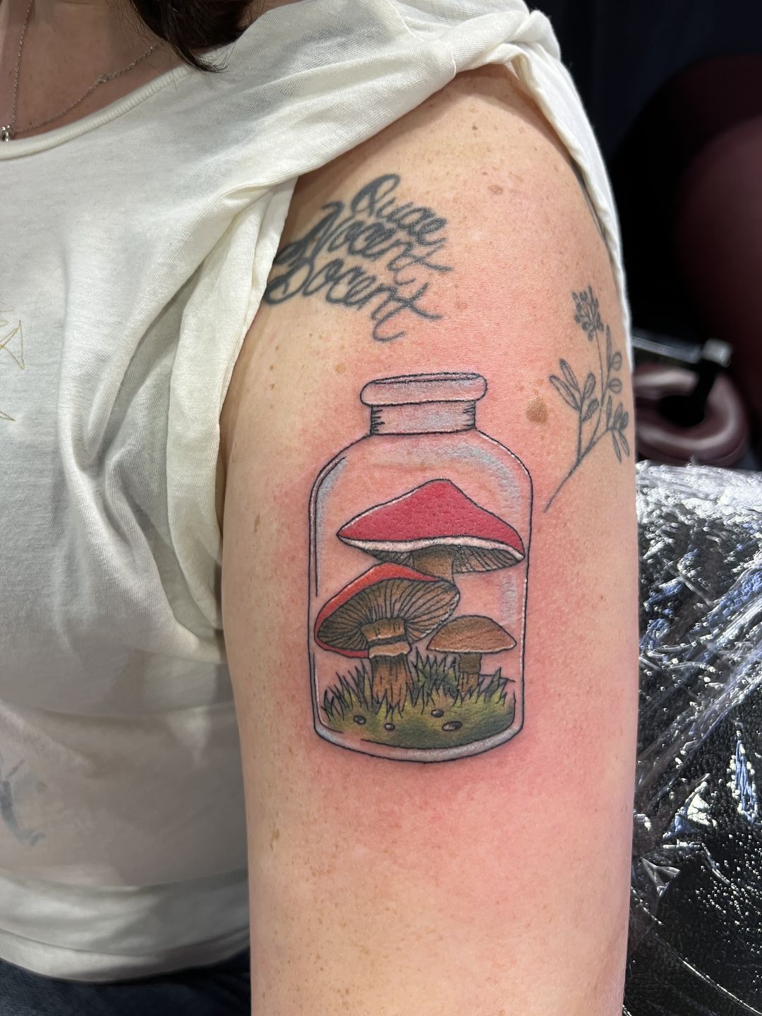 78745bfd-f675-48e6-a708-dd40e32b509a