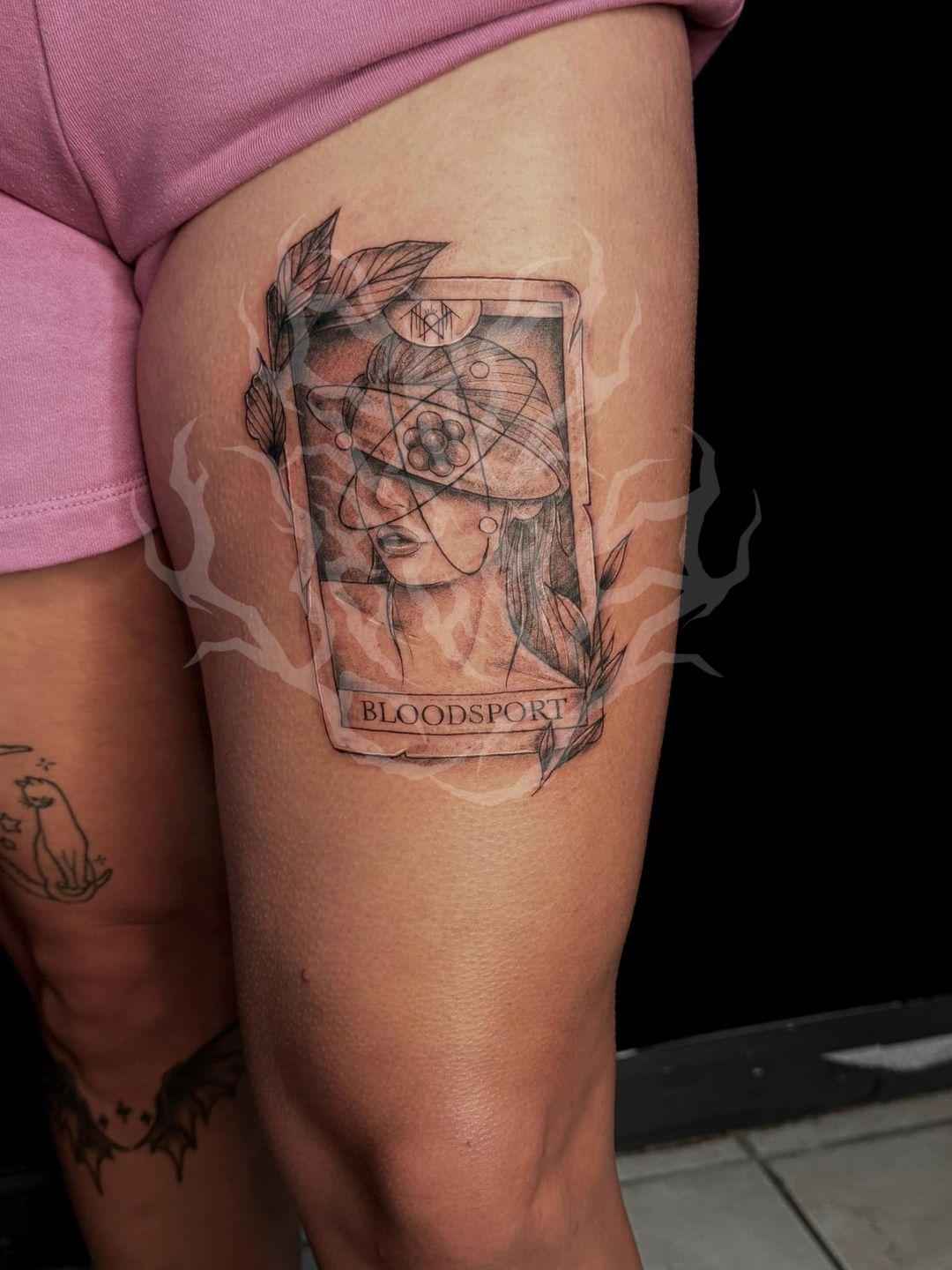 440338419_2786868421462573_4246650812006433419_n