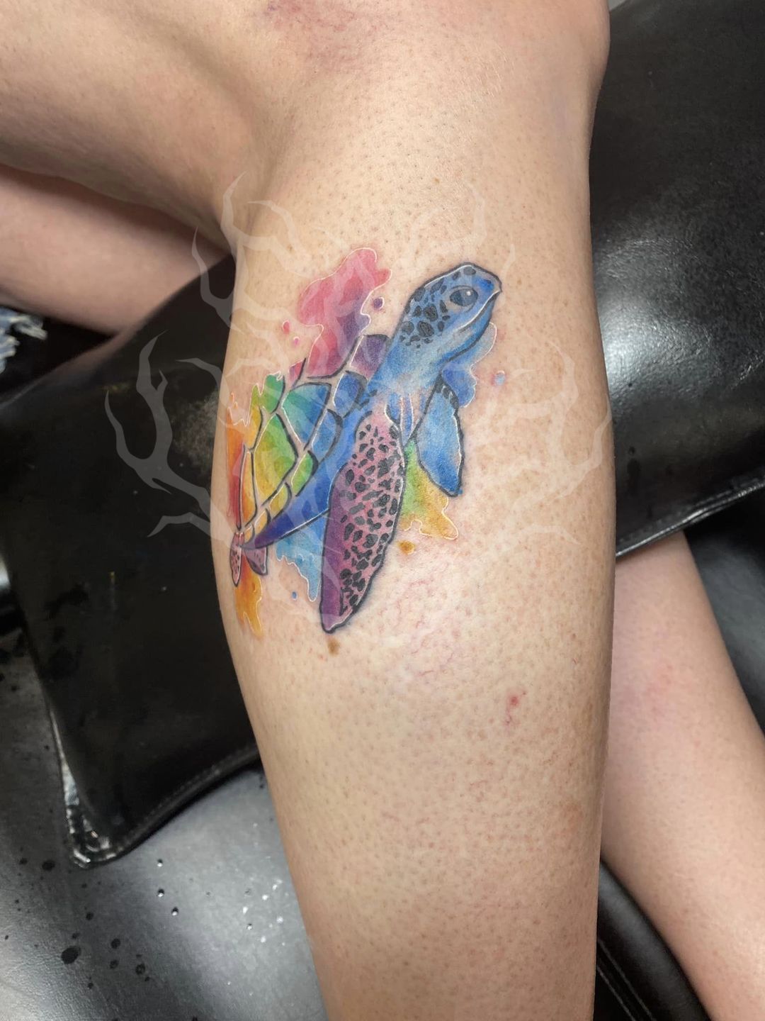 350810532_736881554892369_462687795788000235_n