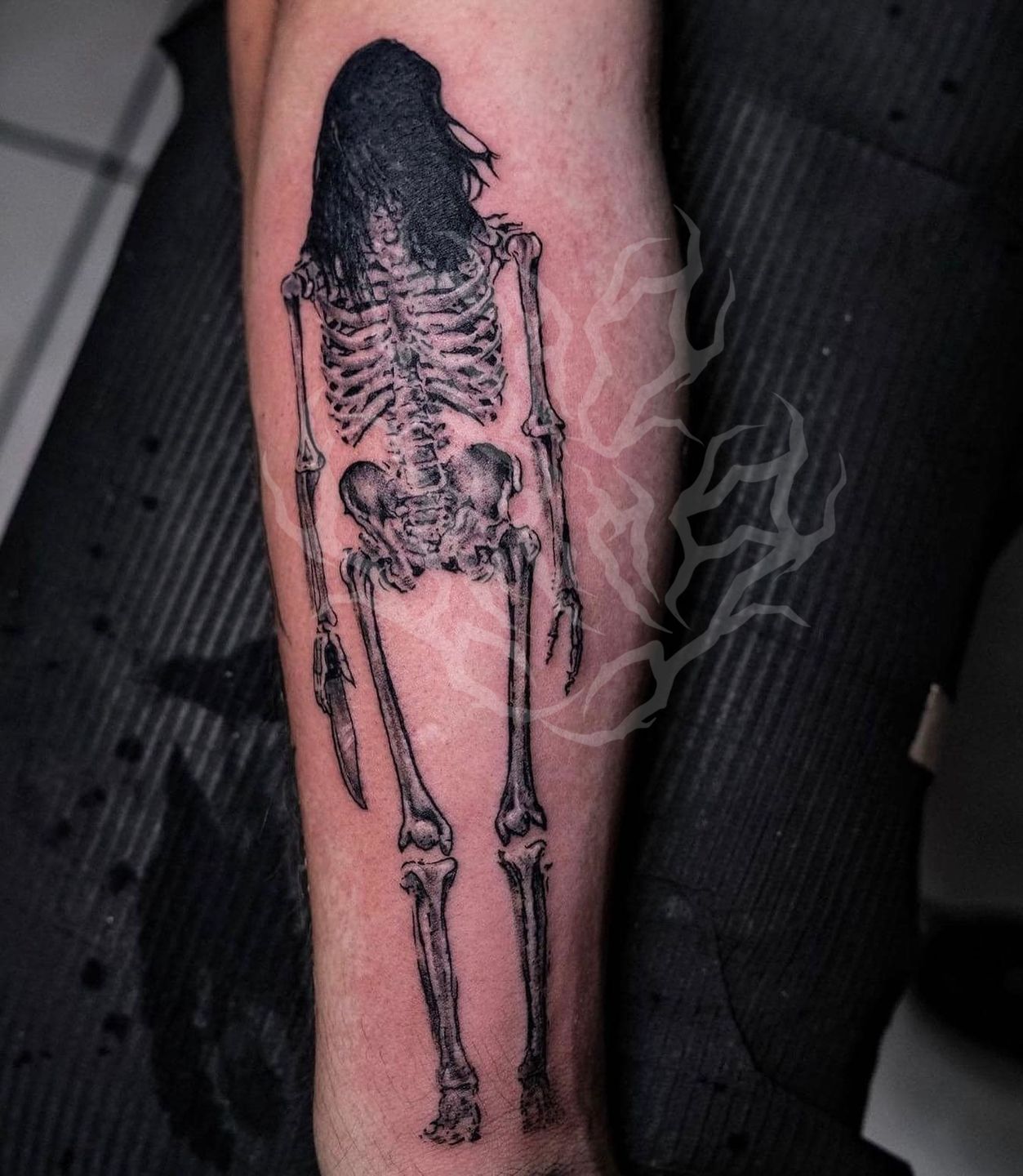 403866069_2665551303594286_3565360262313815453_n