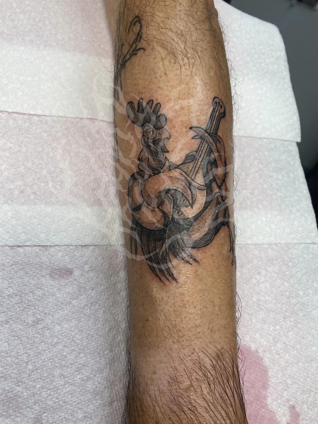 440772637_2776725469143535_8497044234271968949_n