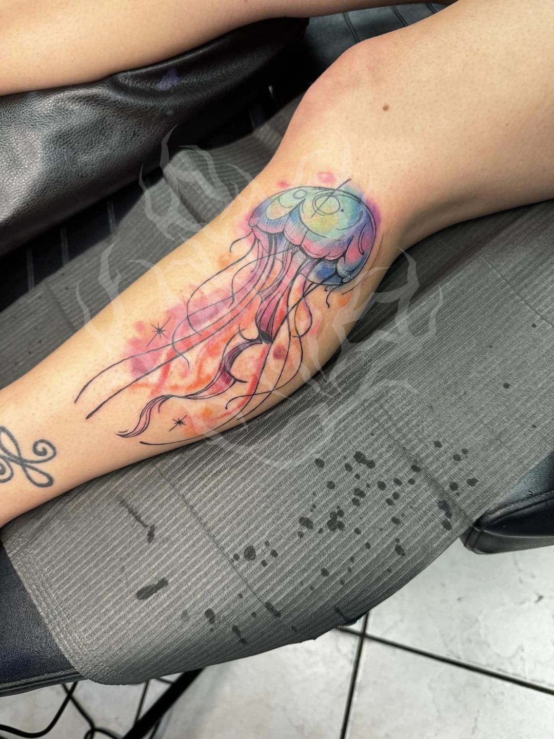 440347850_2786868428129239_4654537808027968841_n