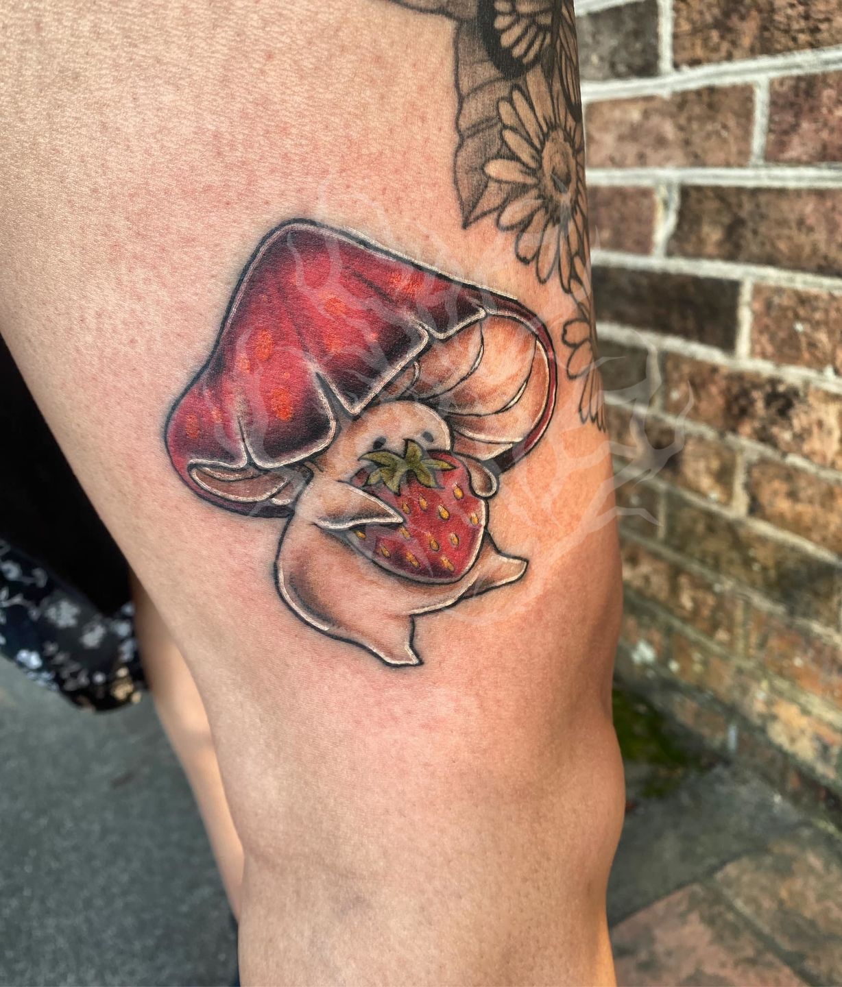 404162594_2665551280260955_3535389177806658257_n