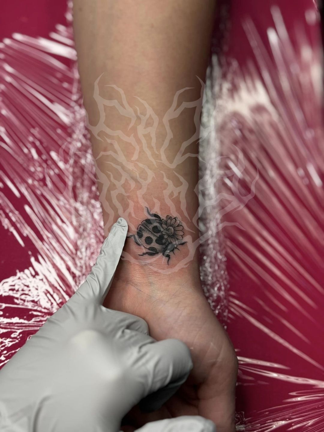 435785695_2763851150430967_9008164664641216167_n