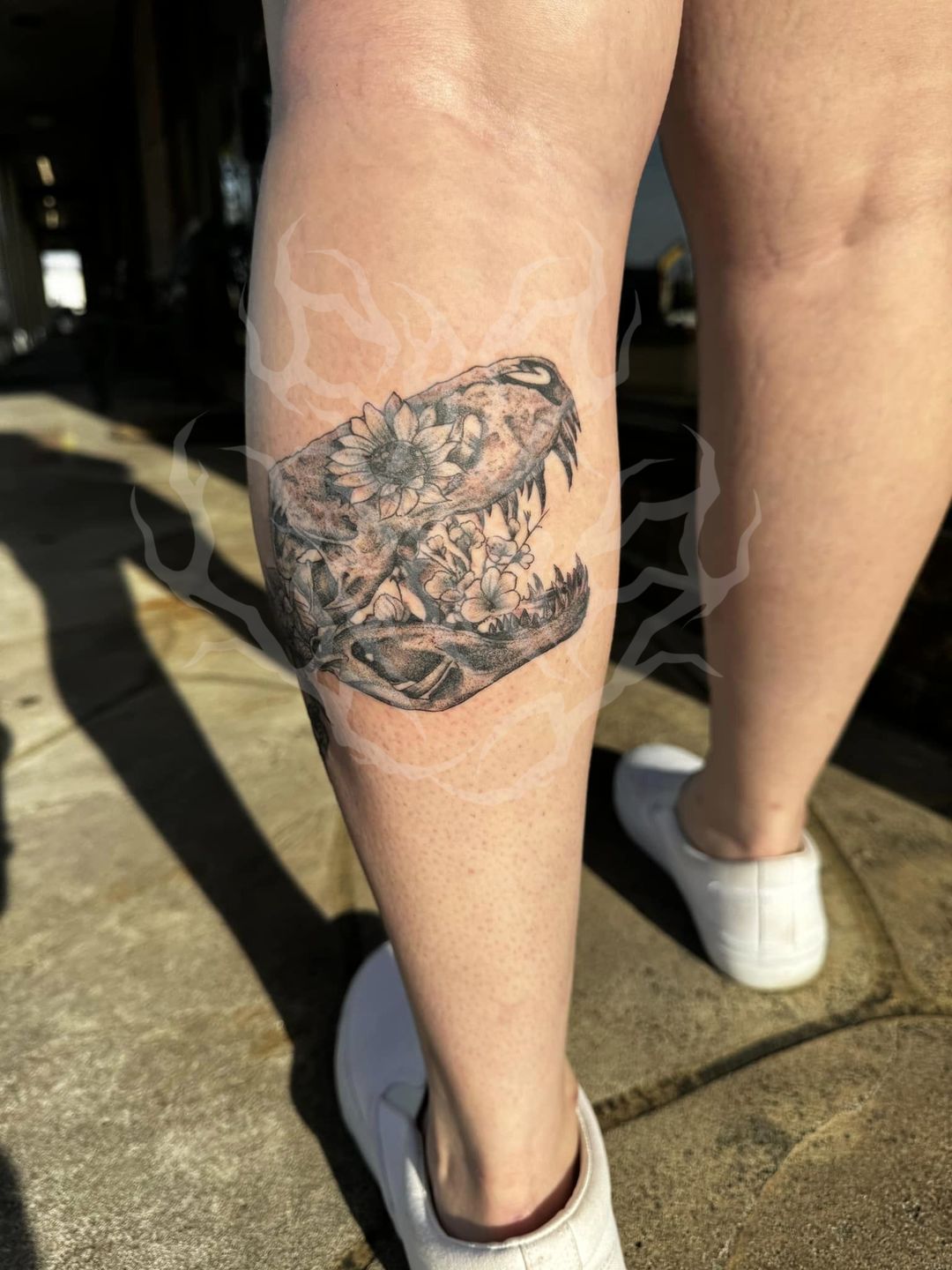 436298880_2763851313764284_1753663482780492598_n