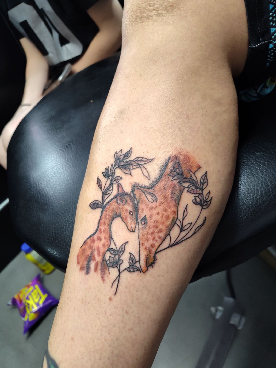 Img_20240903_141754801_hdr