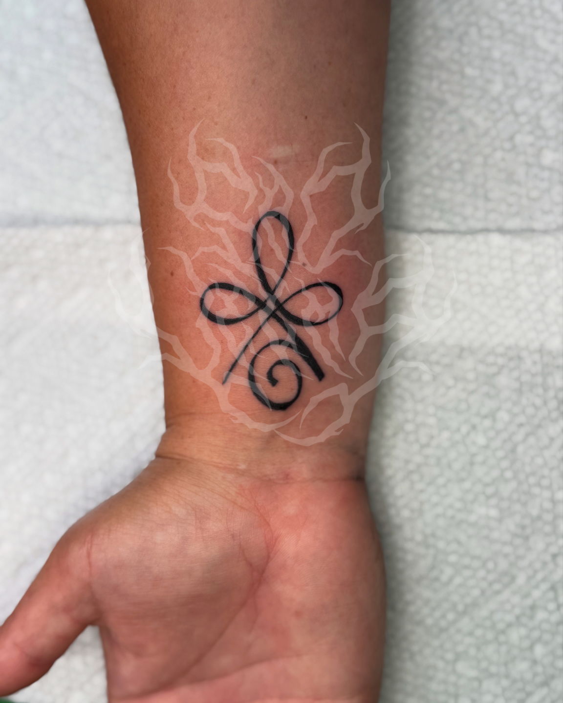 A319965f-50b0-4e06-9cd1-138592509c4b