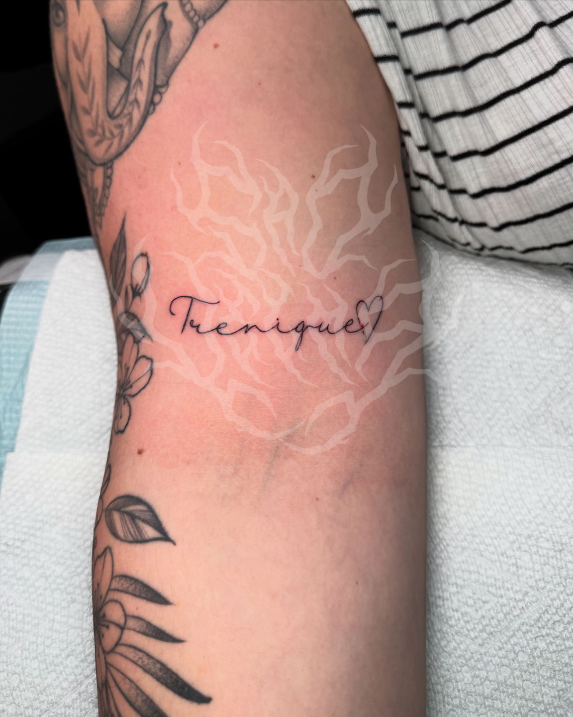 1aad2f81-737e-483e-935e-d7a6f30b849f