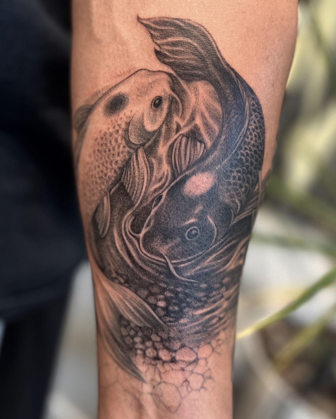 D9a664e5-06db-45c3-a08f-3504fcf9dd89