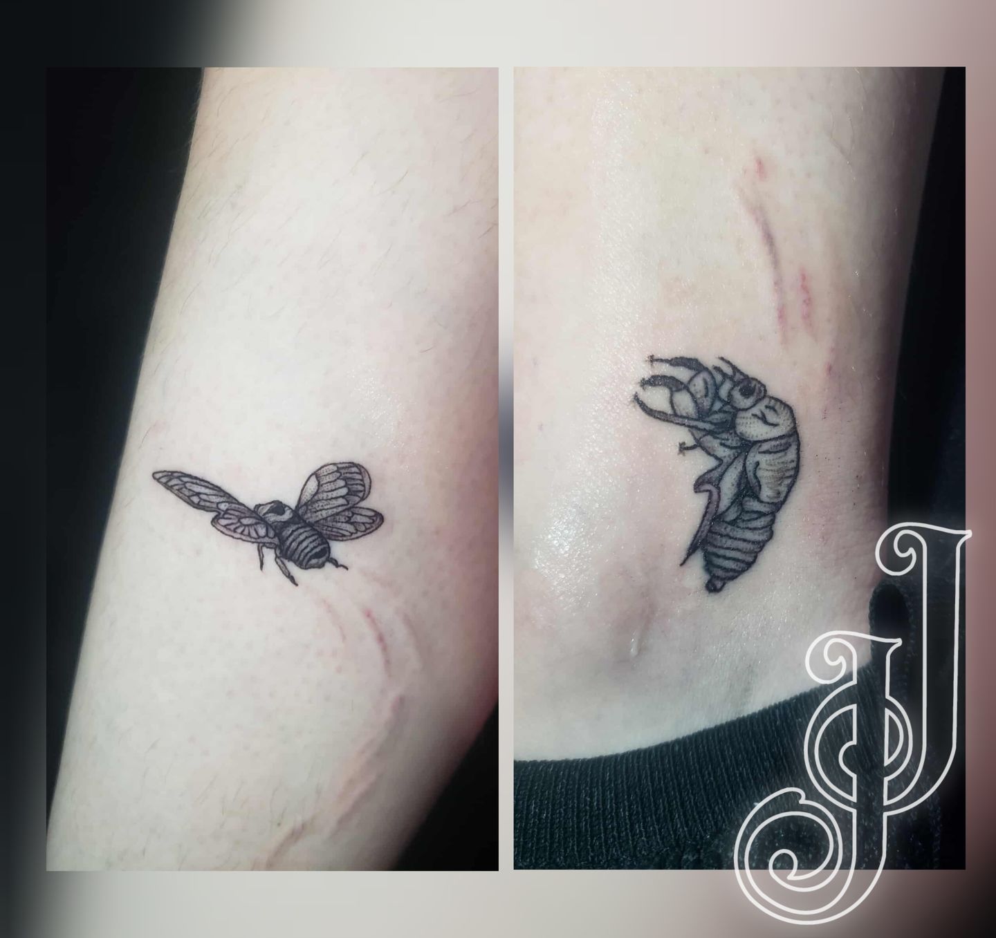 Gridart_20251110_111227302